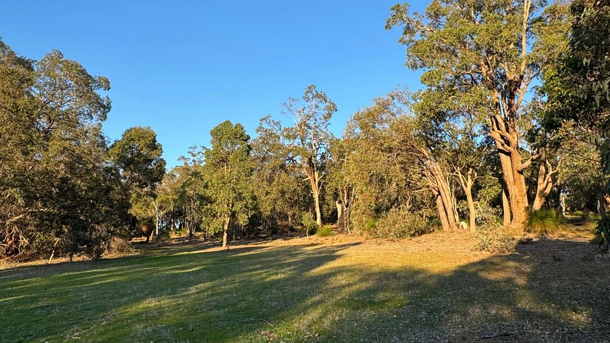 Wilson Ranch Retreat