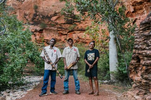 Waringarri Aboriginal Art and Culture Tours
