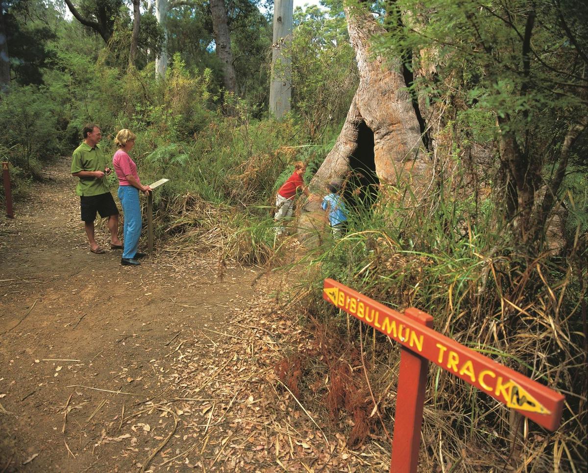 Walpole-Nornalup National Park, Walpole, Western Australia