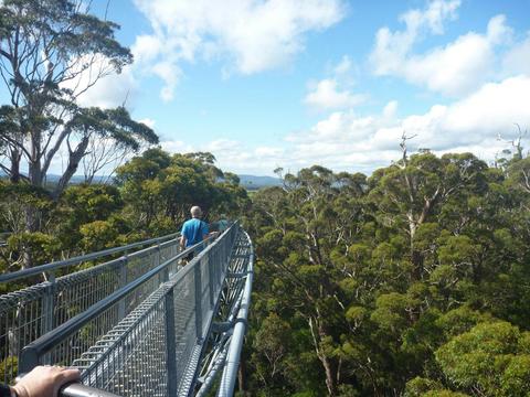 Walpole-Nornalup National Park