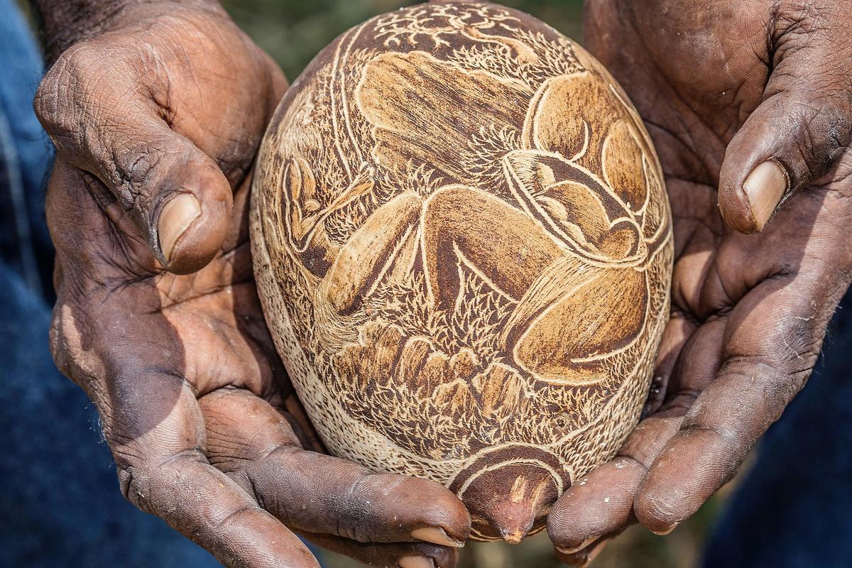 Engraved boab nut by Waringarri artist