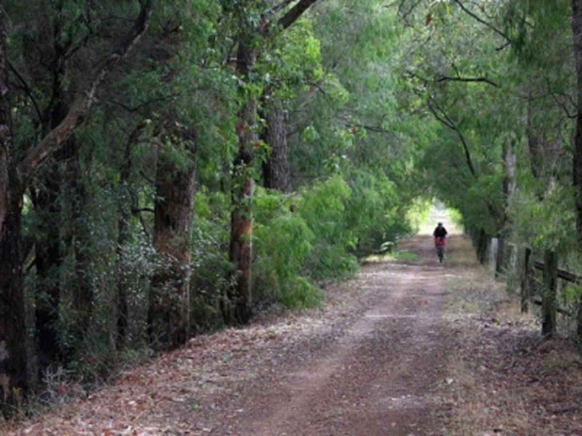Rail Trail Margaret River