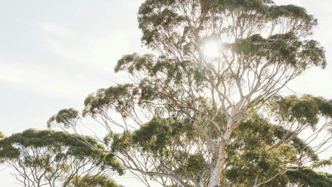 Wave Rock Short Stay