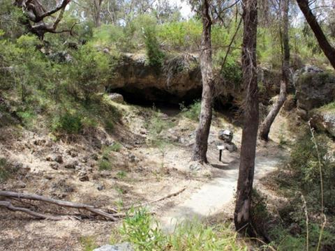 Yanchep National Park trails