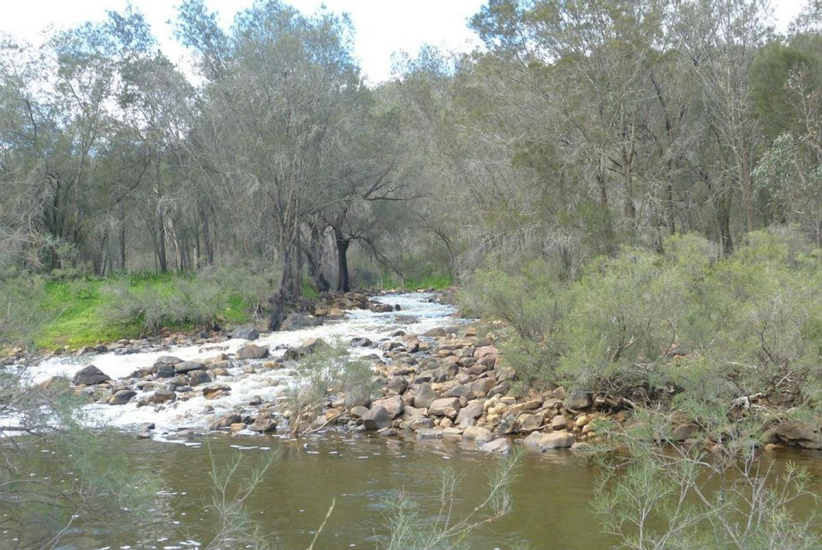 Walyunga National Park