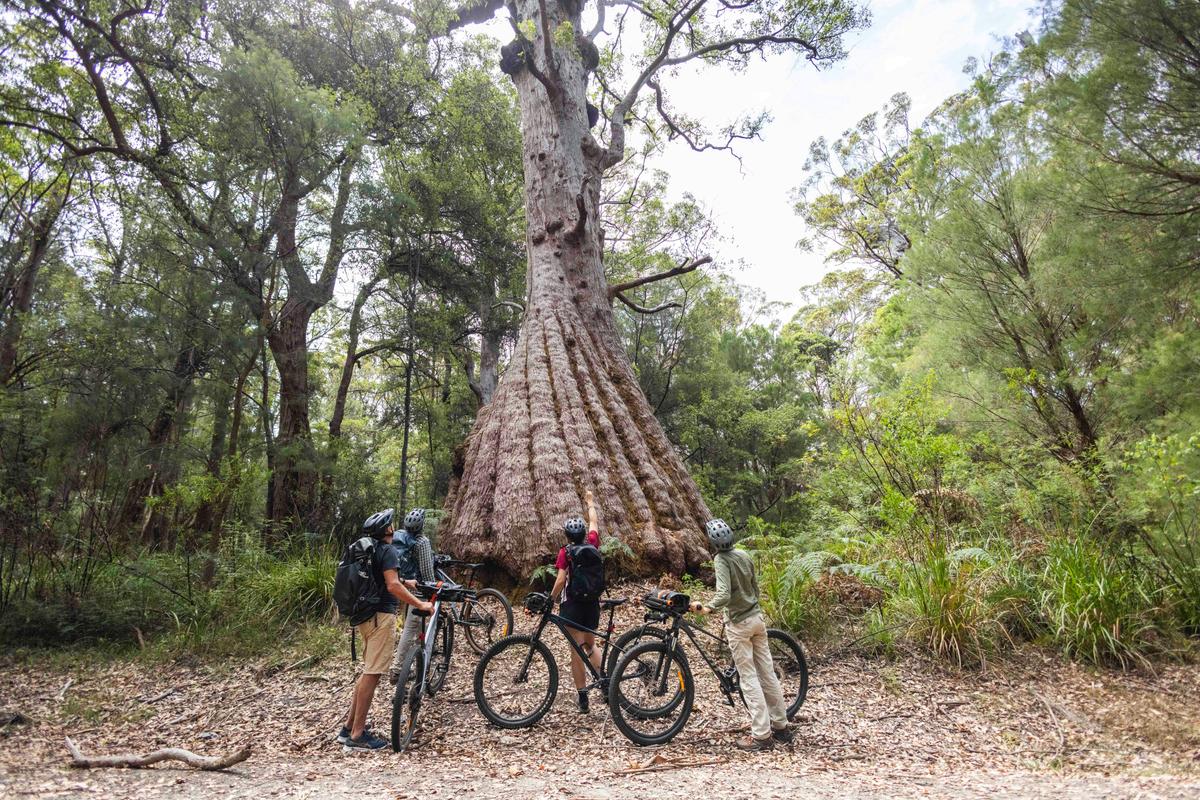 WOW Wilderness EcoAdventures