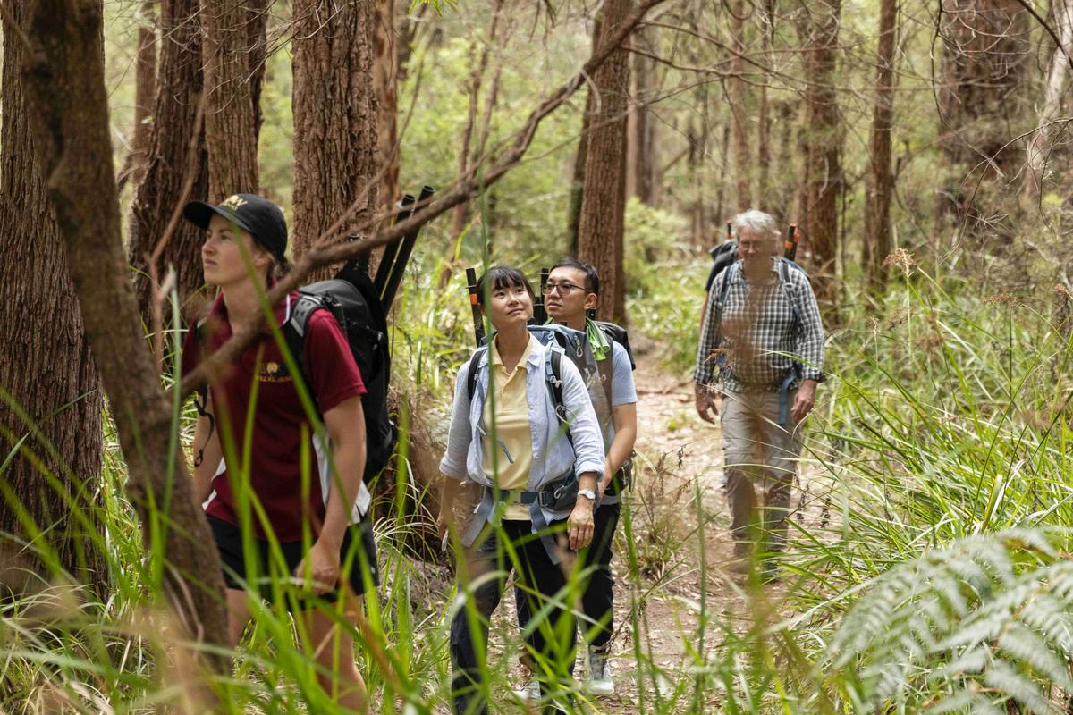 WOW Wilderness EcoAdventures