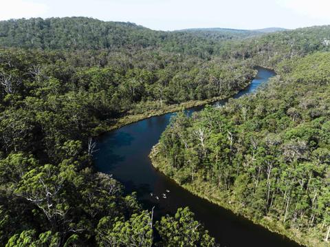 WOW Wilderness EcoAdventures