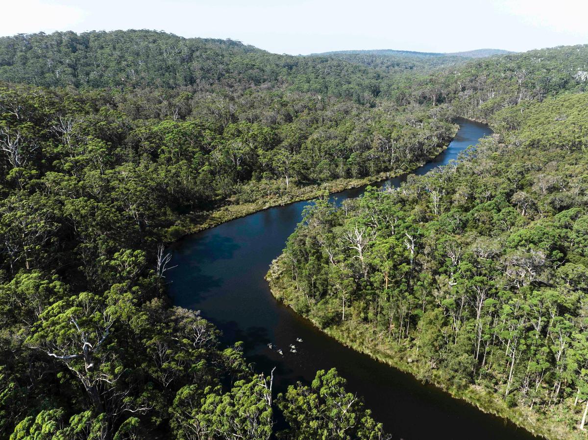 WOW Wilderness EcoAdventures
