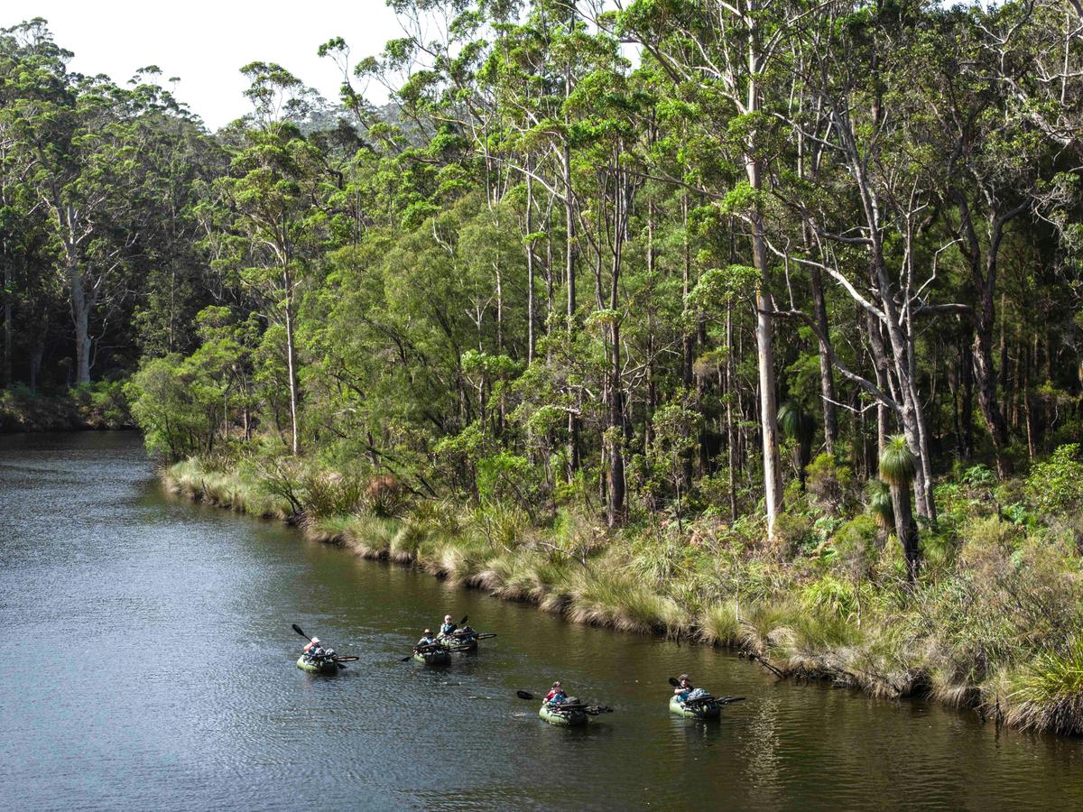 WOW Wilderness EcoAdventures