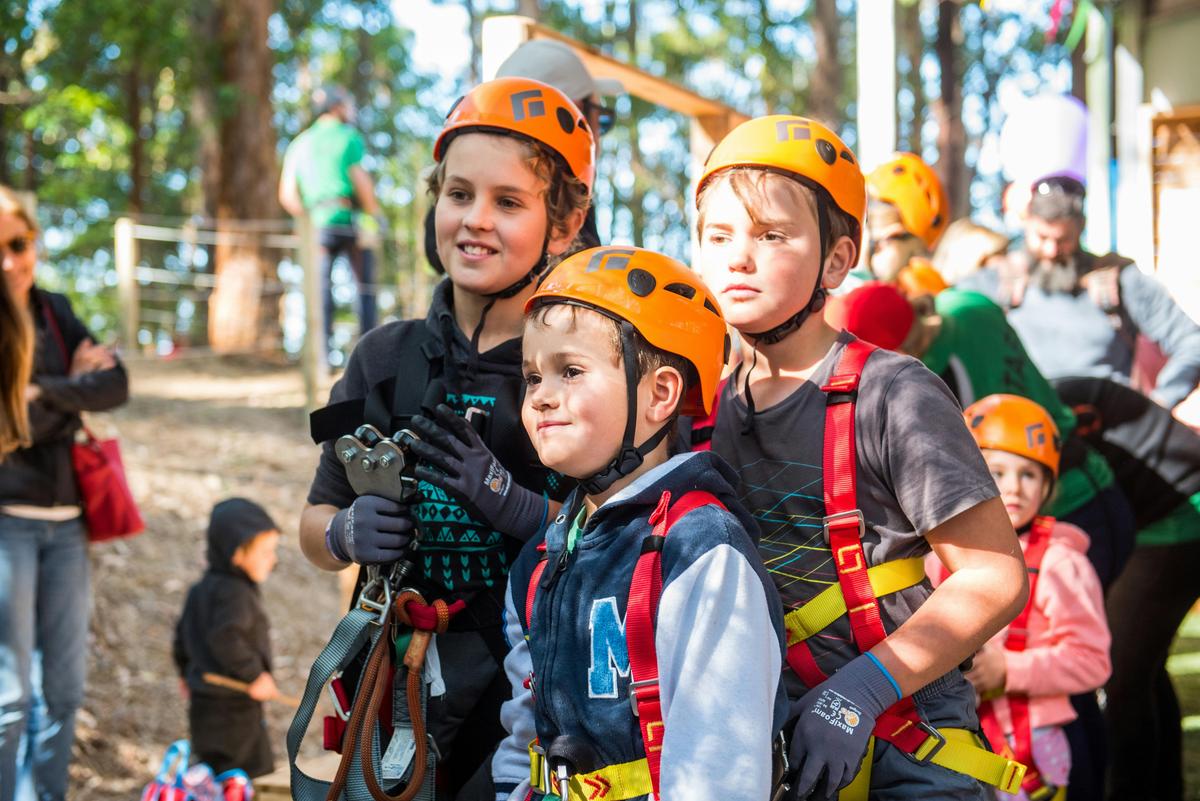 Tree Ropes Courses - Coffs Harbour