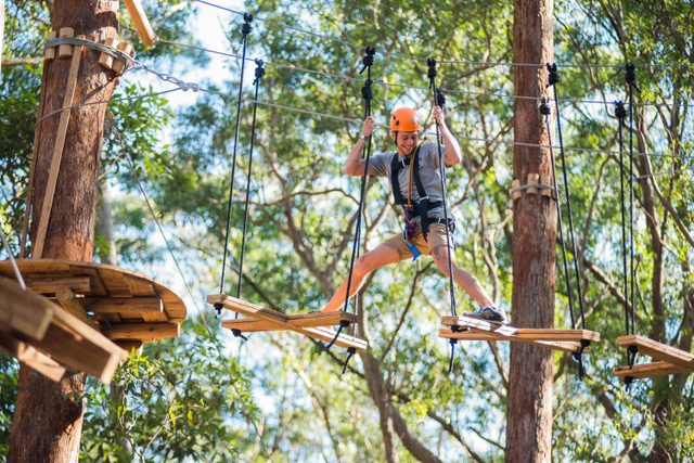 Treetops Adventure Coffs Harbour