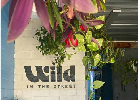 Wild in The Street