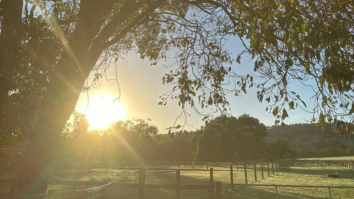 Yoga on the Farm