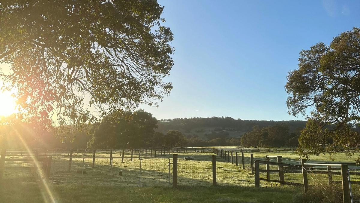 Yoga on the Farm