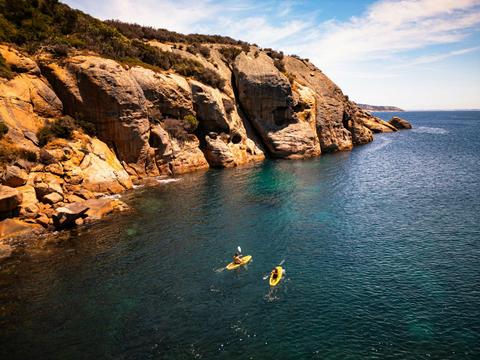 Woody Island Eco Tours