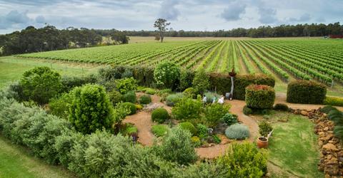 Whicher Ridge Wines