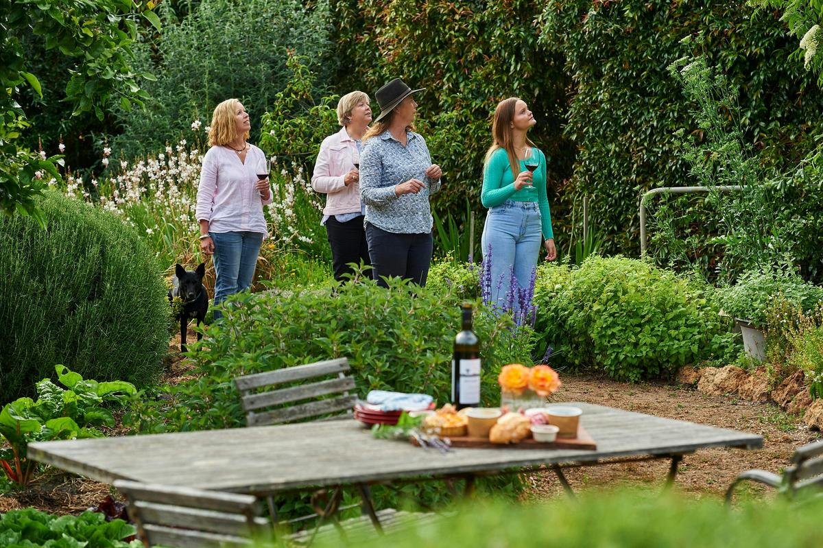 Pick and Sip Tour in the Wine Sensory Garden