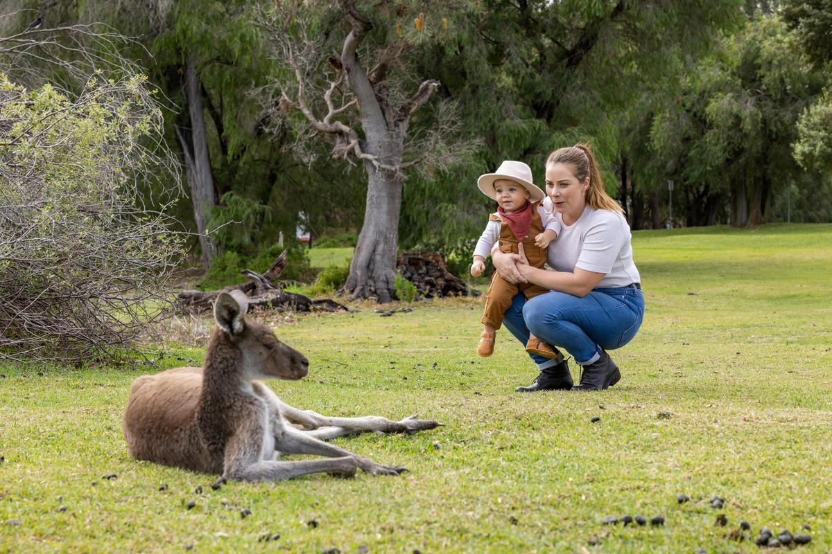Yanchep National Park, Yanchep