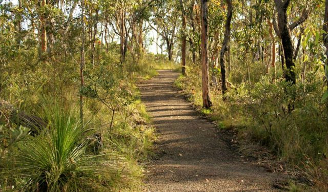 Tommos loop and Rocky Ponds cycling loop