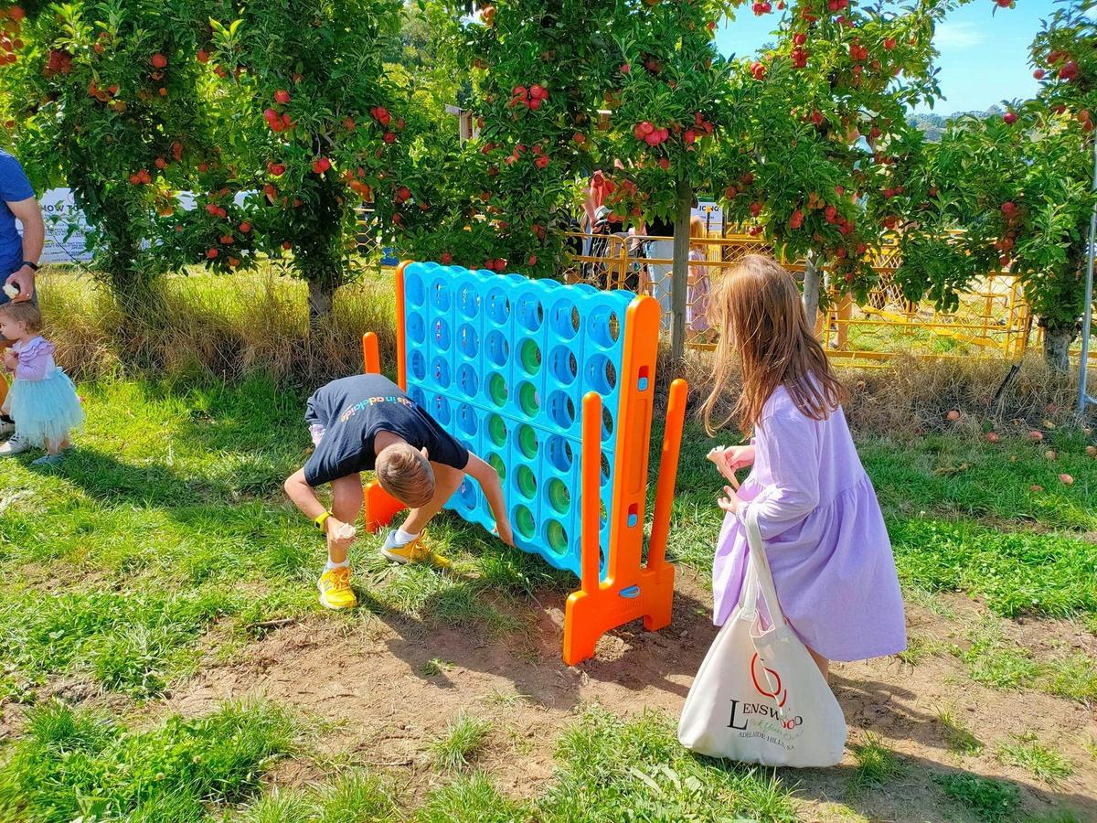 Apple Picking at Lenswood