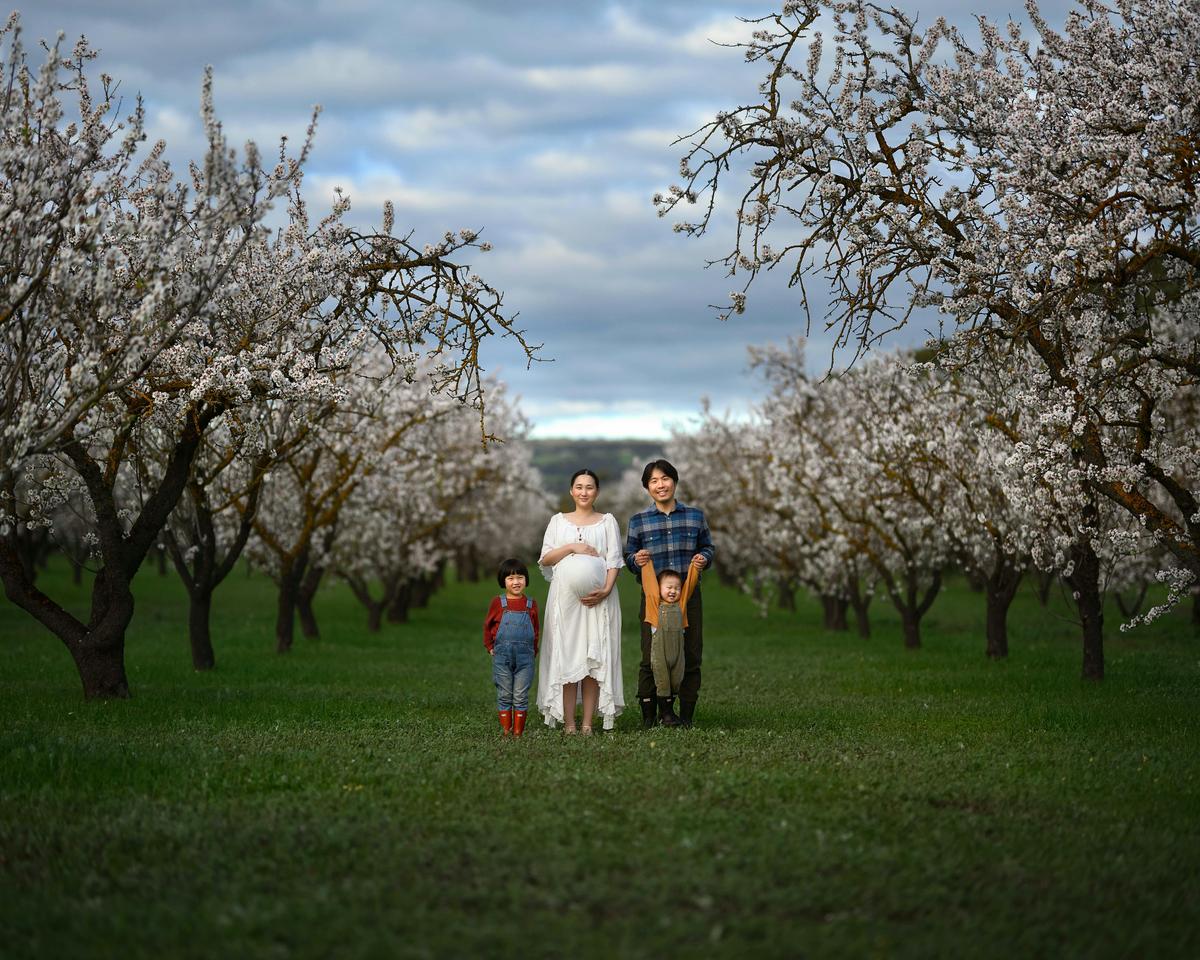 Apple Blossom Family/Couples Photography Session in the Adelaide Hills