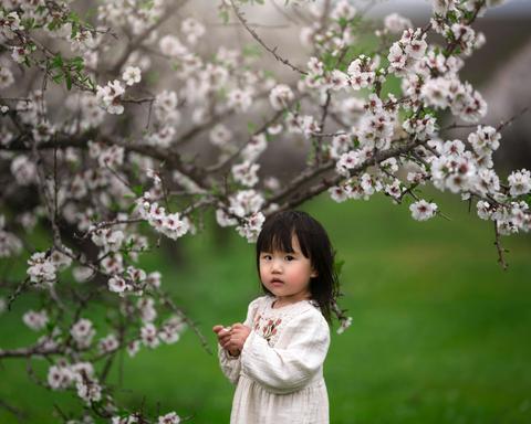 Apple Blossom Family/Couples Photography Session in the Adelaide Hills