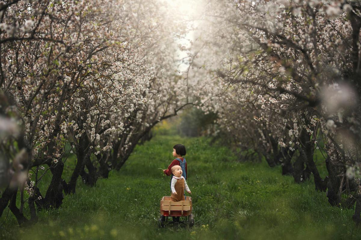 Apple Blossom Family/Couples Photography Session in the Adelaide Hills