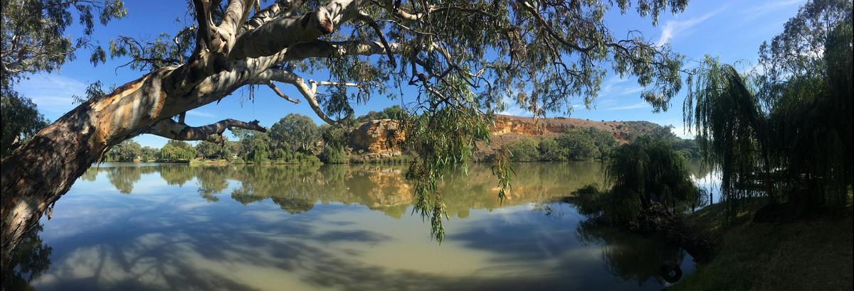 Cliffs, River and River Red gums