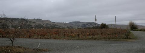 All Valley Wine Tours - Adelaide Hills
