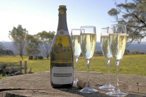All Valley Wine Tours - Adelaide Hills