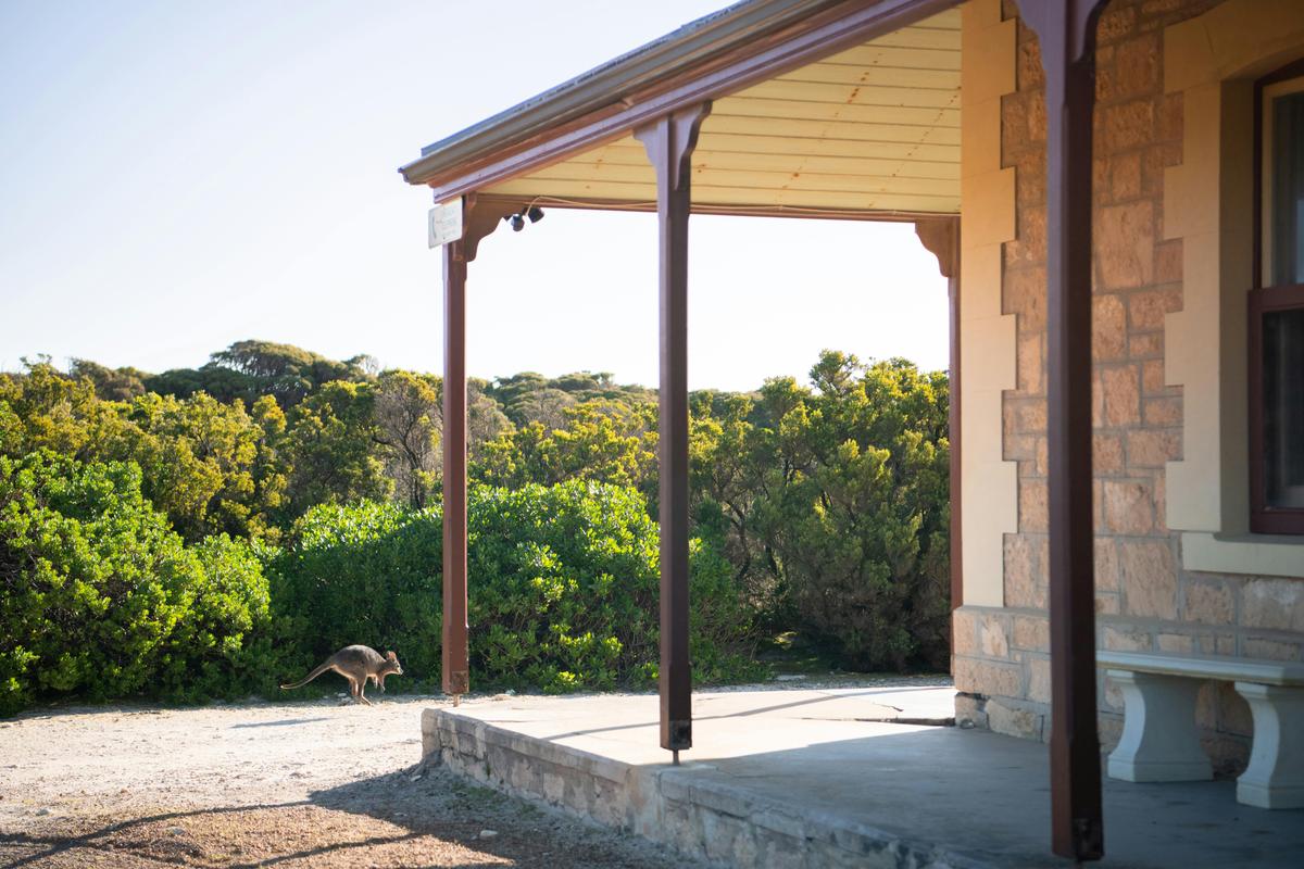 Kangaroo Island Signature Walk