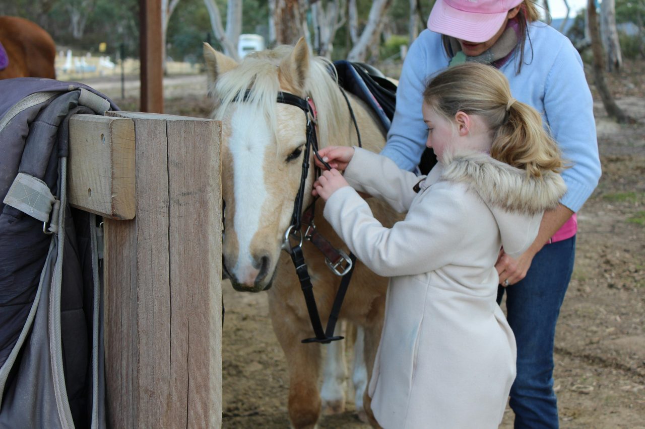A Saddle Camp rider putting on Champs bridle.