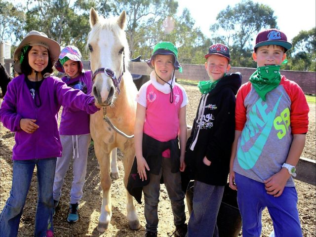 The Saddle Camp