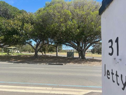 31 Jetty