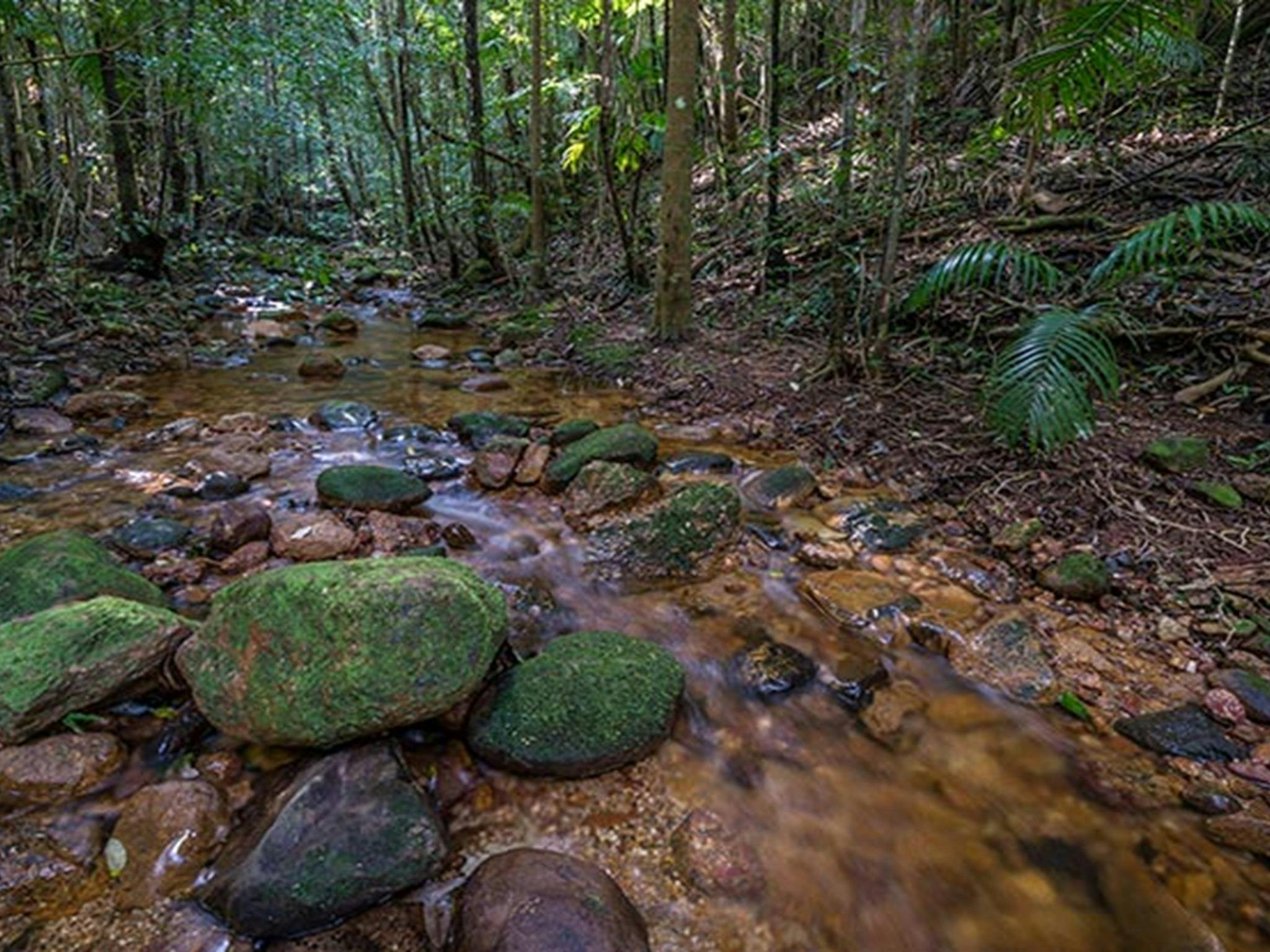 Starrs Creek picnic area, Coorabakh National Park. Photo: John Spencer