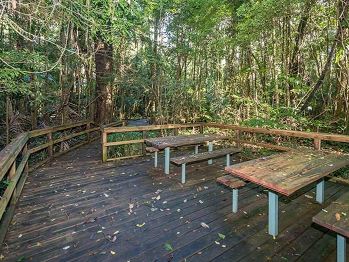Starrs Creek picnic area, Coorabakh National Park. Photo: John Spencer