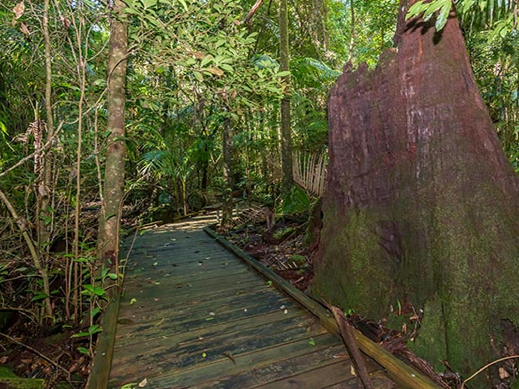 Starrs Creek picnic area, Coorabakh National Park. Photo: John Spencer