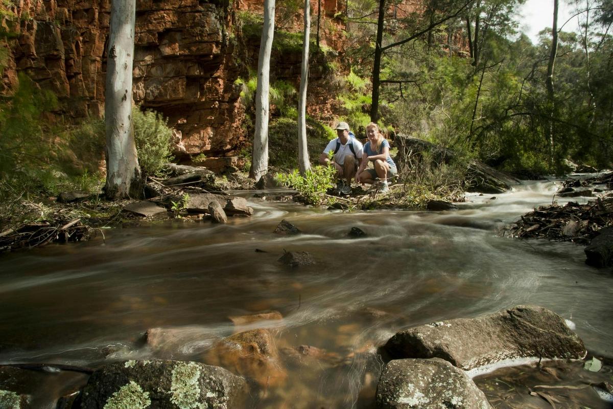 Flinders Ranges & Outback – 3 Day Small Group 4WD Eco Safaris