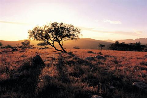 Flinders Ranges Southern 1 Day 4WD Eco Safari – Private Charter