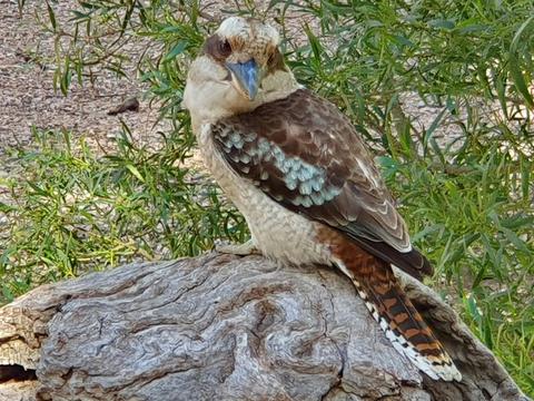 Lake Eyre & Flinders Ranges – 4 Day Small Group 4WD Eco Safari