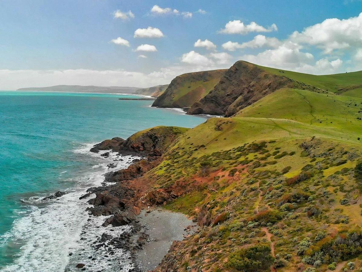 Fleurieu Peninisula 1 Day 4WD Eco Safari - Private Charter