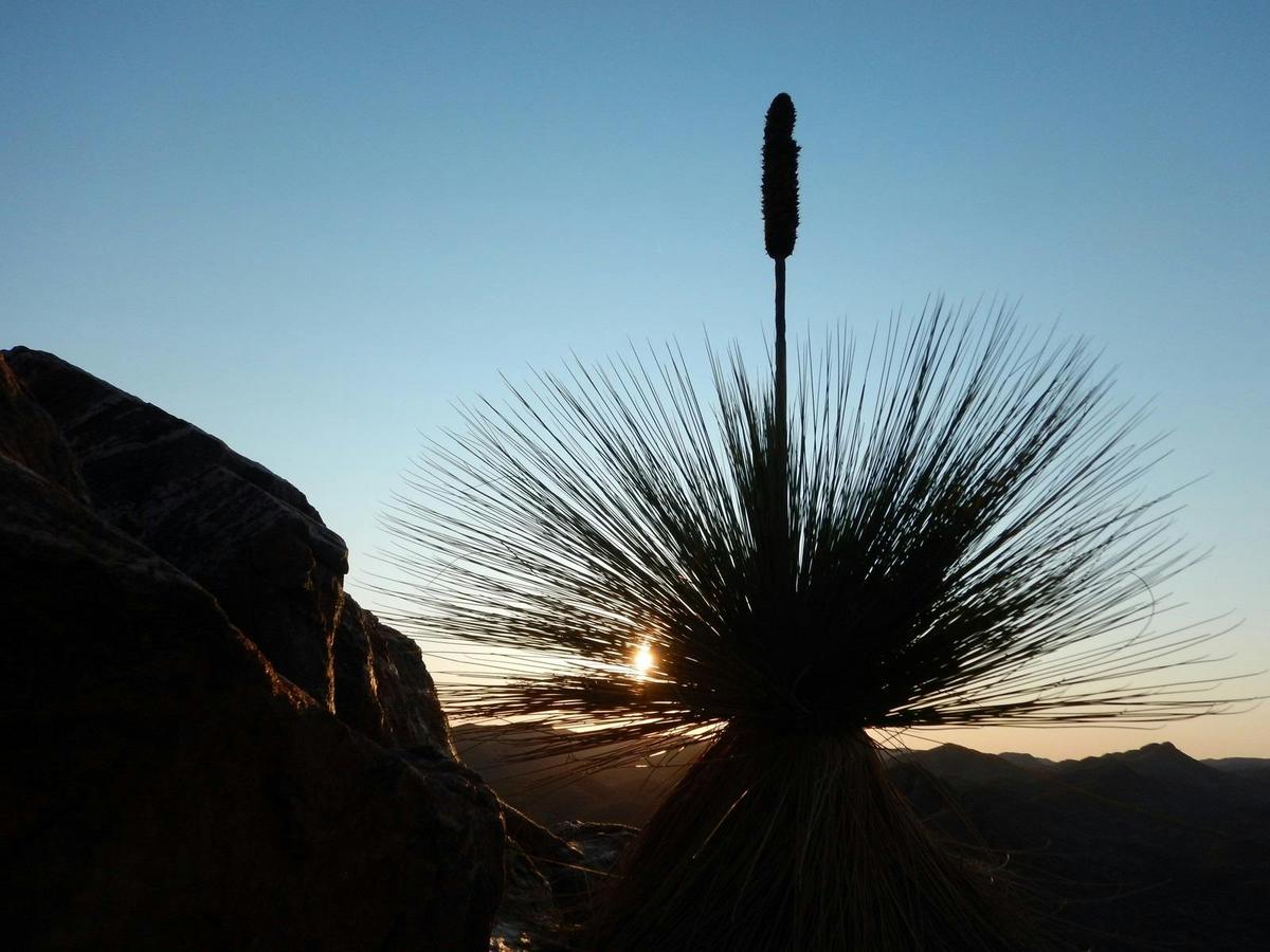 Coober Pedy to Adelaide – 5 Day Small Group 4WD Eco Safari