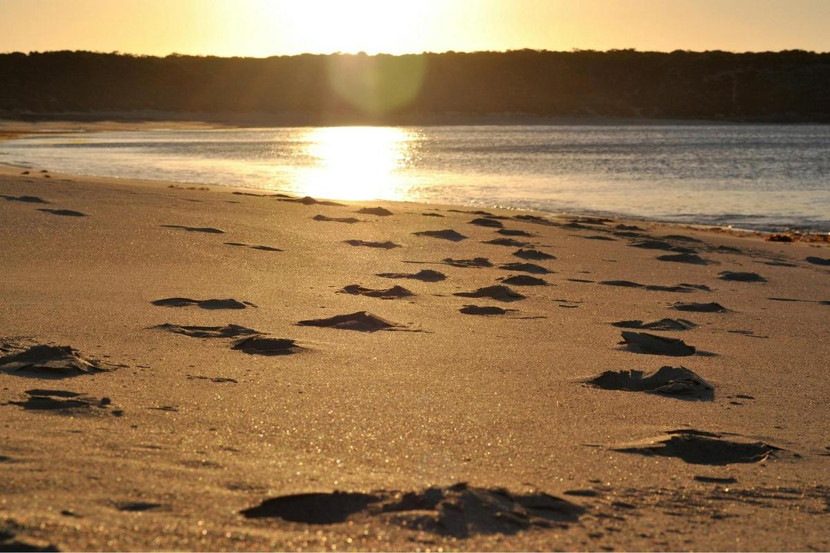One of the best Yorke Peninsula 4WD SA ECO TOURS – Self Drive with Holiday Home
