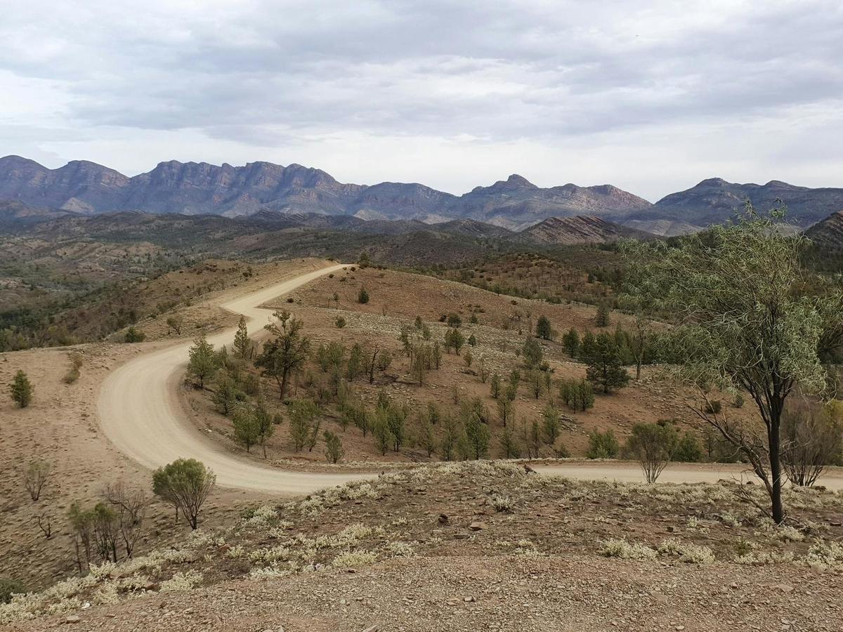 SA Flinders Ranges outback tour