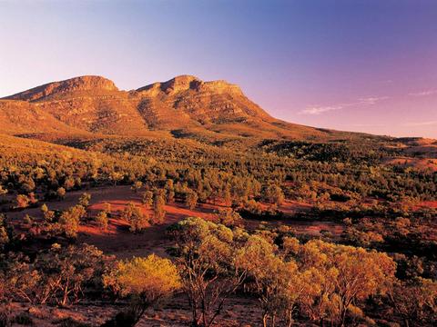 Flinders Ranges & Outback – 5 Day Small Group 4WD Eco Safari