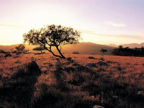 Coober Pedy to Adelaide – 5 Day Small Group 4WD Eco Safari