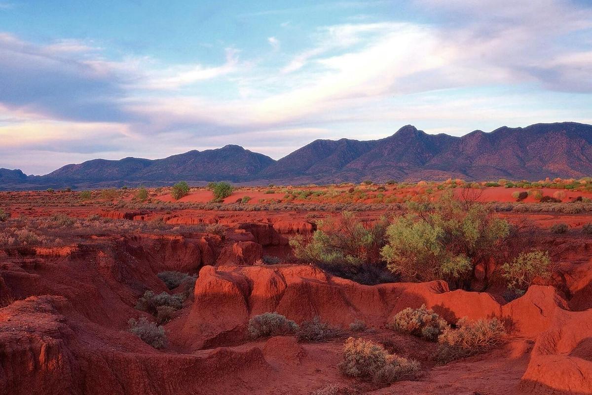 Flinders Ranges & Outback – 3 Day Small Group 4WD Eco Safari