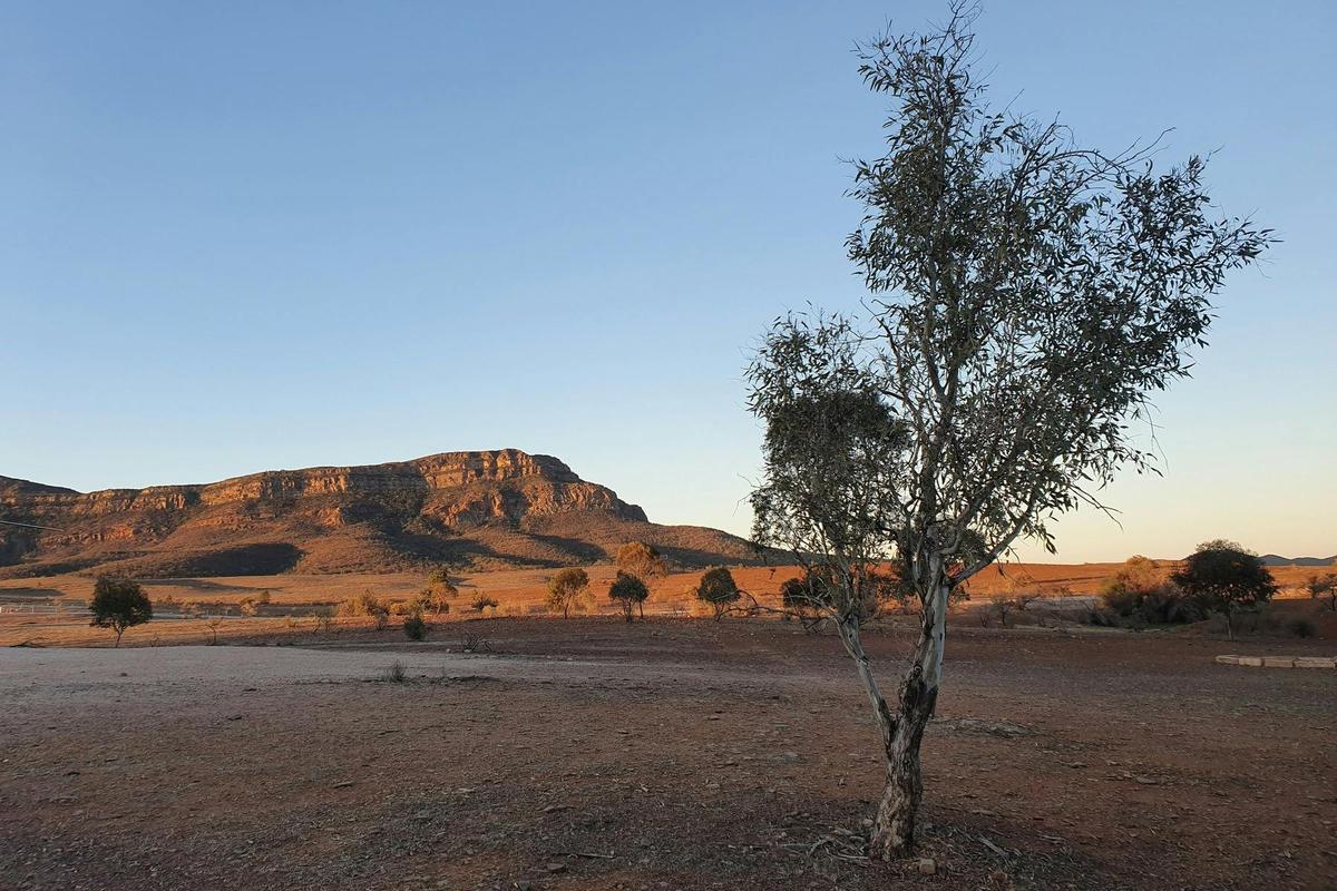 Lake Eyre and Flinders – 4 Day Small Group 4WD Eco Safari