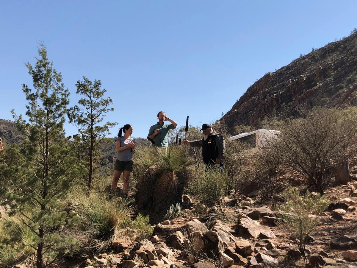 4WD Tour - Time Travel and Gorgeous Gorges